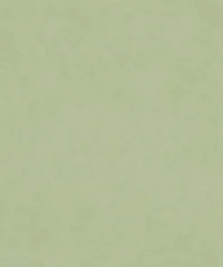 Stock/Merrimac M9989 Celadon Barrow Fabric