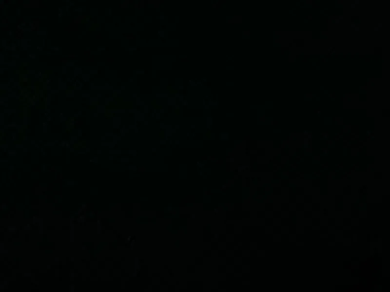 Covington Milo 947 Noir Fabric