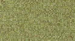 Crypton Naima Sprig Fabric
