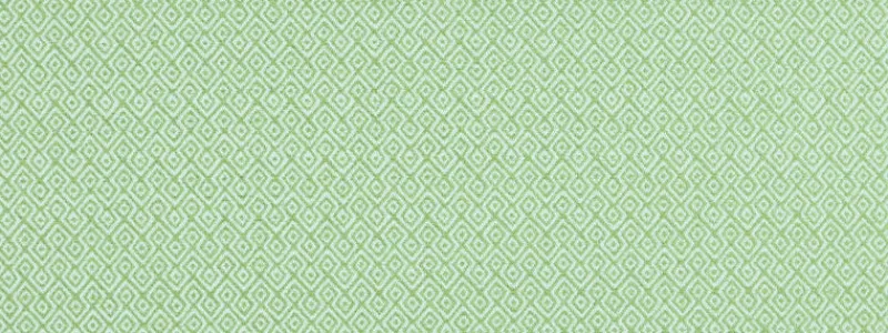 Covington Nisha 206 Greenery Fabric