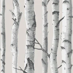 Brewster NU1650 Birch Tree Peel And Stick Wallpaper