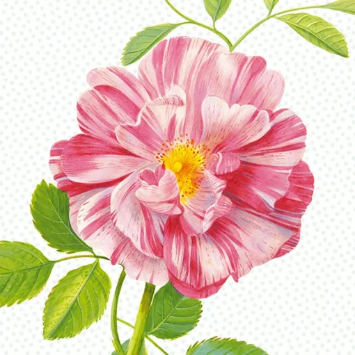 Brewster Peony Wall Mural