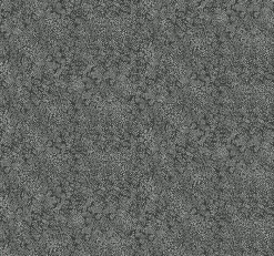 York RI5111 White/Black Champagne Dots Wallpaper