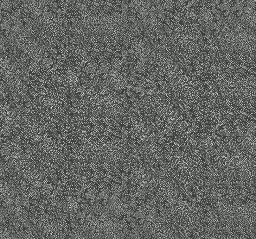 York RI5111 White/Black Champagne Dots Wallpaper