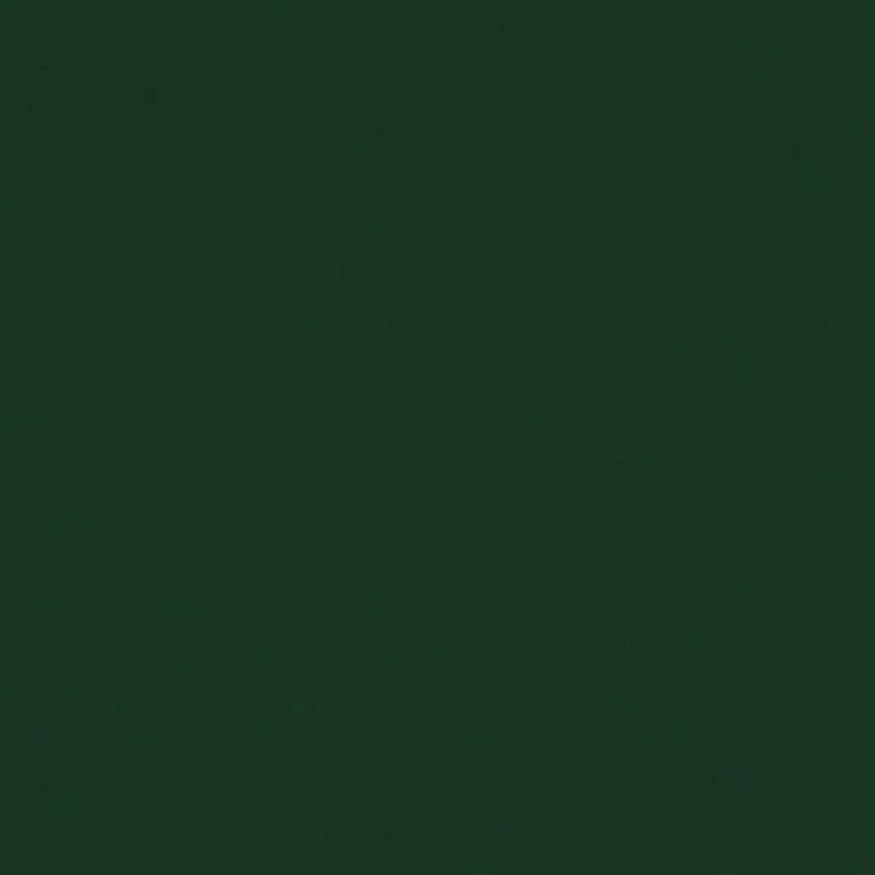 Vision Sealskin 2009 Yew Green Fabric