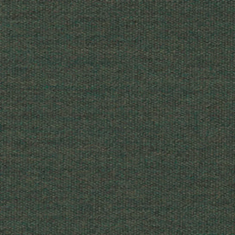 Vision Sunbr Furn Solid Canvas 5487 Fern Fabric