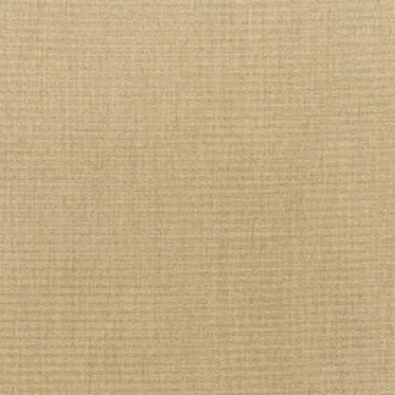 Vision Sunbr Furn Solid Canvas 5476 Heather Beige Fabric