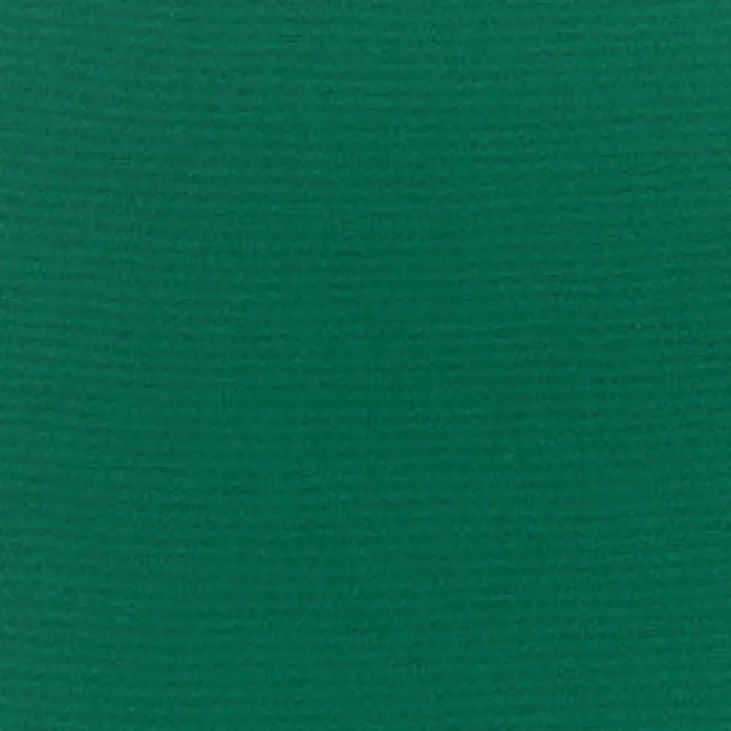 Vision Sunbr Furn Solid Canvas 5446 Forest Green Fabric