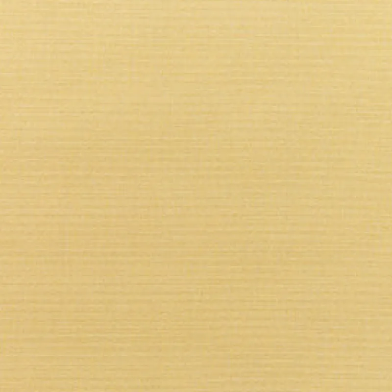 Vision Sunbr Furn Solid Canvas 5414 Wheat Fabric