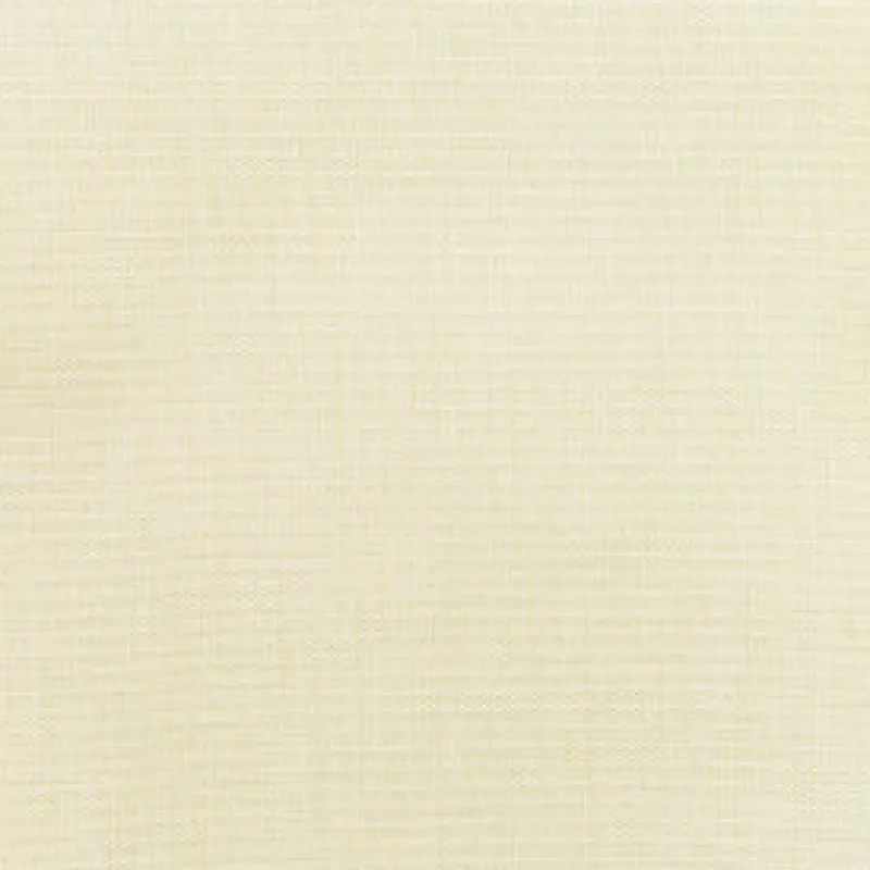Vision Sunbr Furn Solid Canvas 5472 Bird's Eye Fabric
