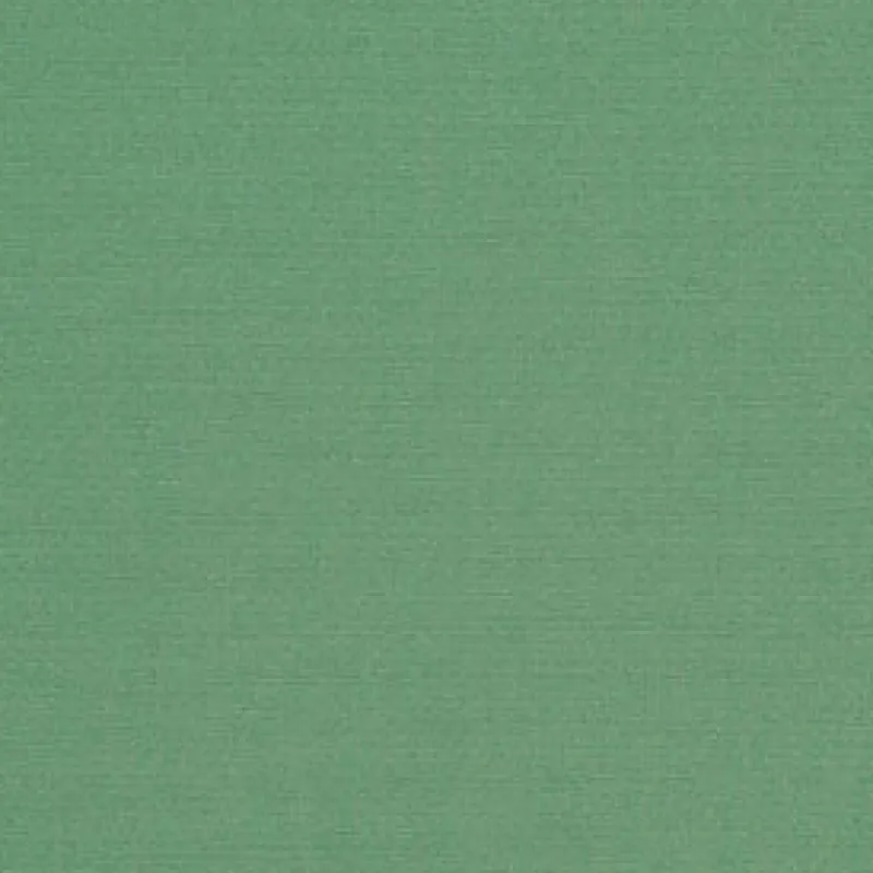 Vision Sunbr 60" 6088 Basil Fabric