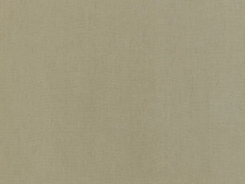 Covington Sundance Tan Fabric