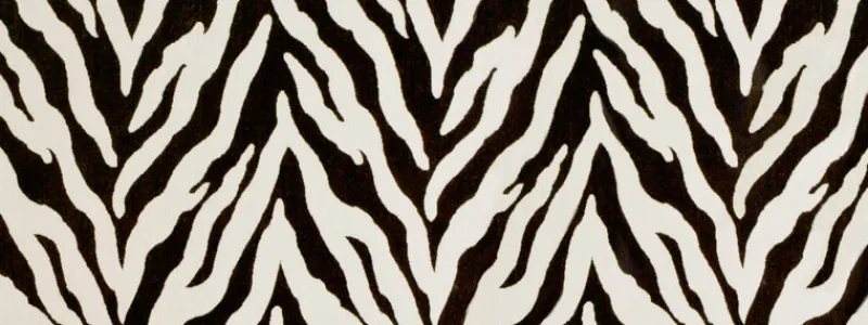 Covington Tanja 916 Ebony Ivory Fabric