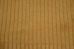 Stock/Regal Taxi Gold Regal Fabric