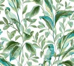 York TC2654 White Aqua Tropical Love Birds Wallpaper