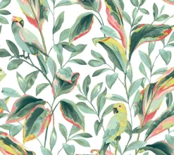 York TC2653 White Coral Tropical Love Birds Wallpaper