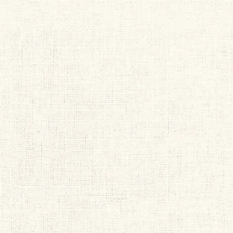 Regal Turbo Vanilla Fabric