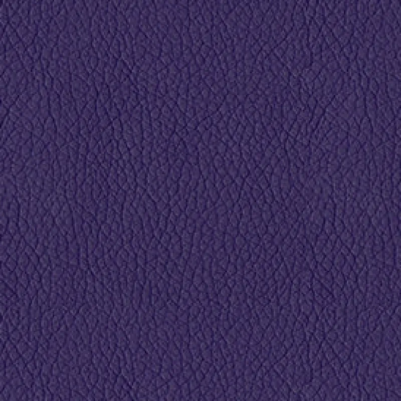 Vision Turner 1009 Plum Fabric