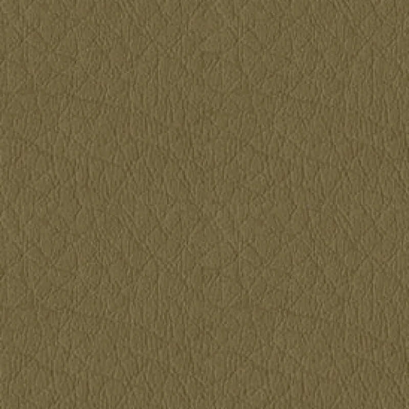 Vision Whisper Vinyl 2121 Cappuccino Fabric
