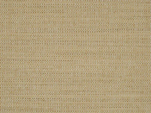 Covington Woodlawn Seashell Fabric