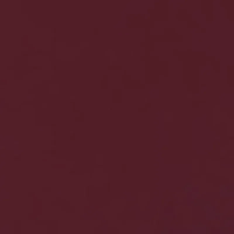 Vision Zander ZAN 3119 Burgundy Fabric